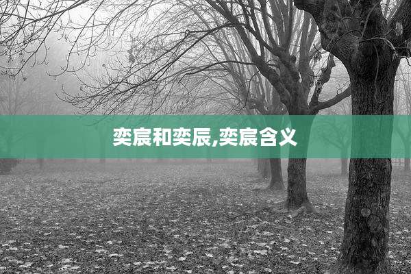 奕宸和奕辰,奕宸含义