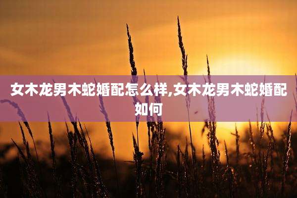 女木龙男木蛇婚配怎么样,女木龙男木蛇婚配如何