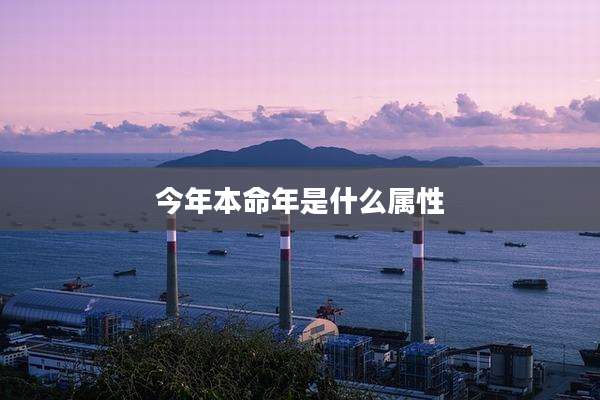 今年本命年是什么属性