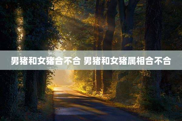 男猪和女猪合不合 男猪和女猪属相合不合