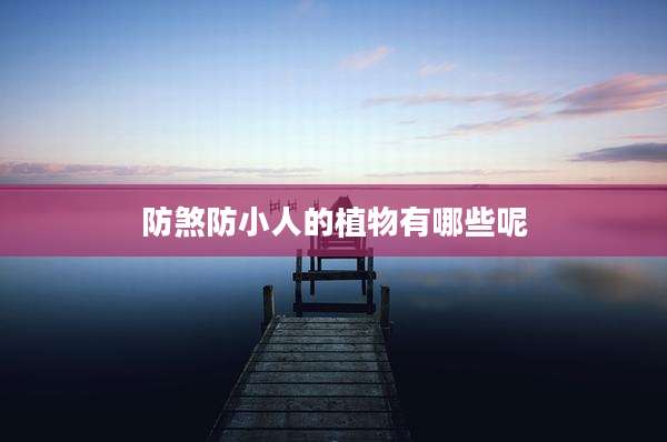 防煞防小人的植物有哪些呢