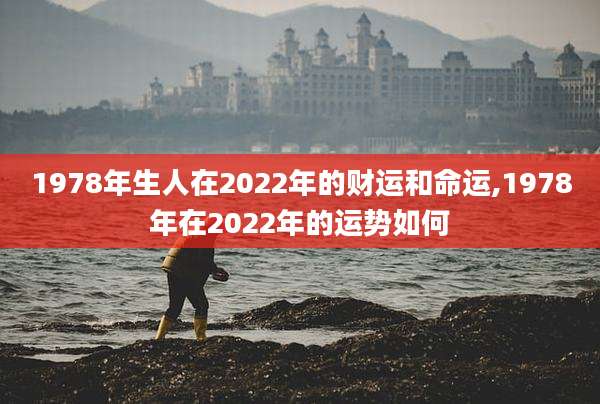 1978年生人在2022年的财运和命运,1978年在2022年的运势如何