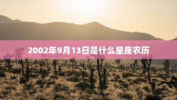 2002年9月13日是什么星座农历