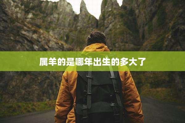 属羊的是哪年出生的多大了