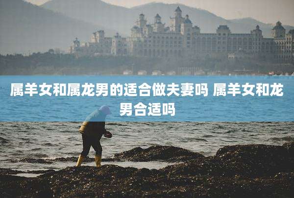 属羊女和属龙男的适合做夫妻吗 属羊女和龙男合适吗