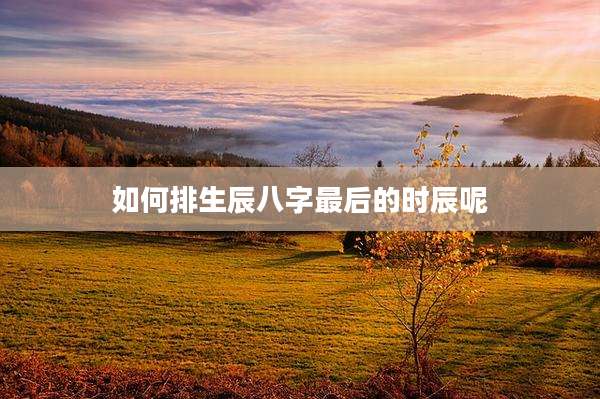 如何排生辰八字最后的时辰呢