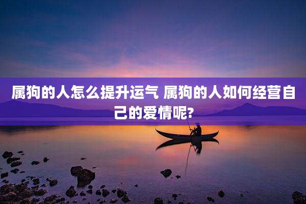 属狗的人怎么提升运气 属狗的人如何经营自己的爱情呢?