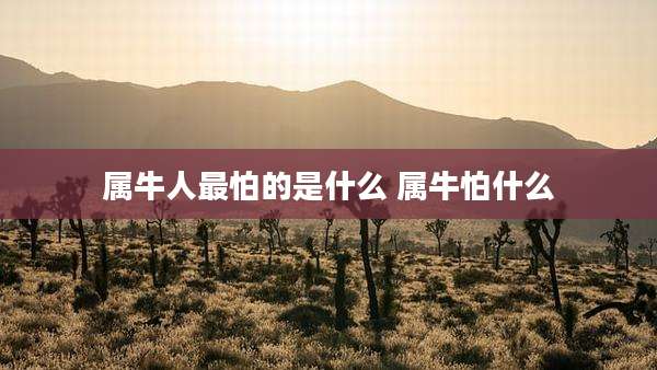 属牛人最怕的是什么 属牛怕什么