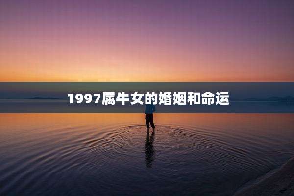 1997属牛女的婚姻和命运