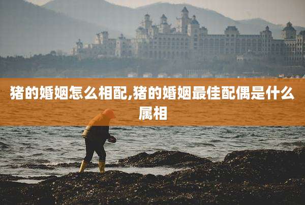 猪的婚姻怎么相配,猪的婚姻最佳配偶是什么属相