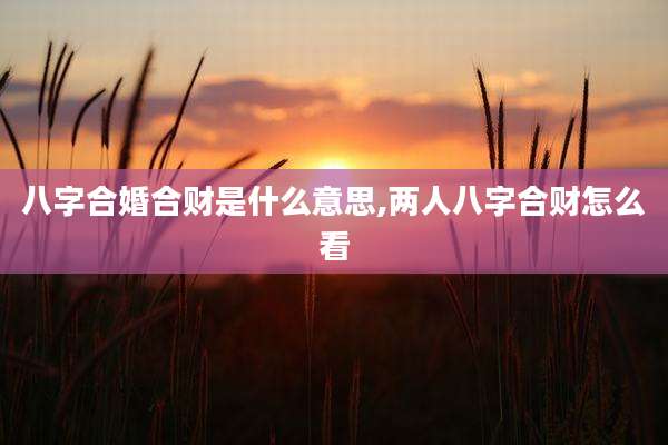 八字合婚合财是什么意思,两人八字合财怎么看