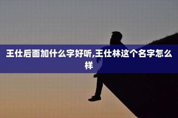 王仕后面加什么字好听,王仕林这个名字怎么样