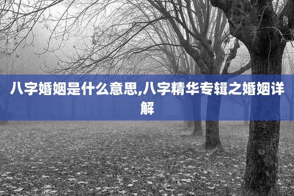 八字婚姻是什么意思,八字精华专辑之婚姻详解