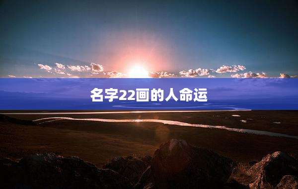 名字22画的人命运