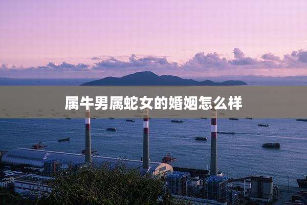 属牛男属蛇女的婚姻怎么样