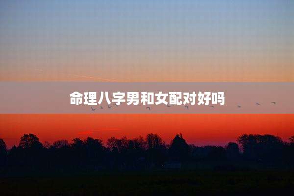 命理八字男和女配对好吗