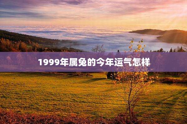 1999年属兔的今年运气怎样