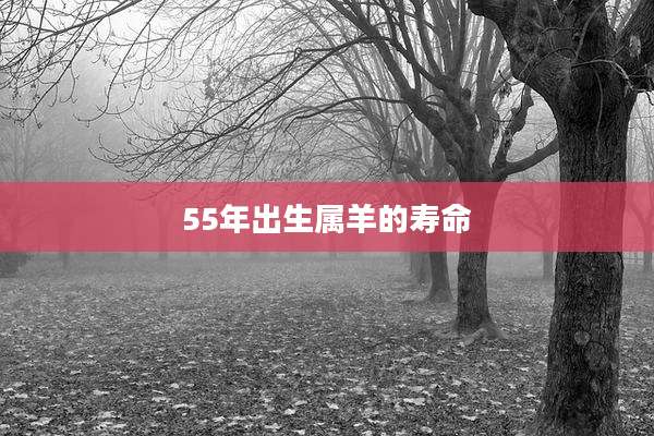 55年出生属羊的寿命
