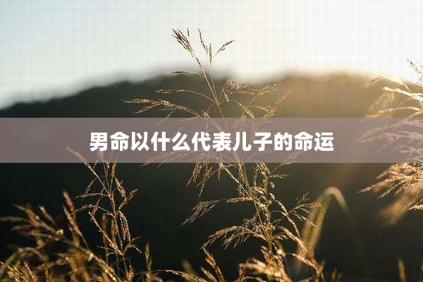 男命以什么代表儿子的命运