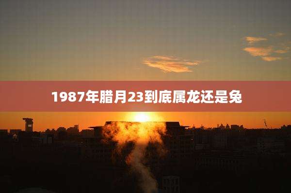 1987年腊月23到底属龙还是兔