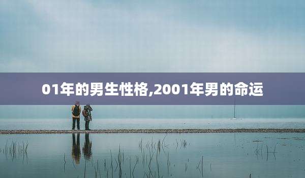 01年的男生性格,2001年男的命运