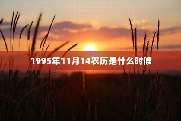 1995年11月14农历是什么时候