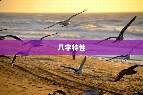 八字特性