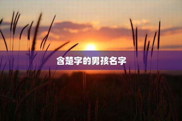 含楚字的男孩名字