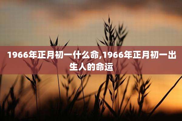 1966年正月初一什么命,1966年正月初一出生人的命运