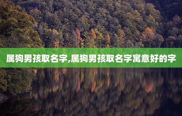 属狗男孩取名字,属狗男孩取名字寓意好的字