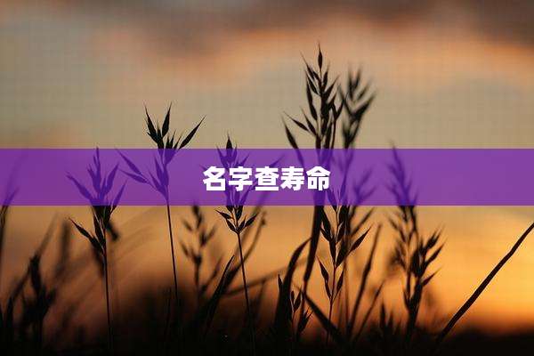 名字查寿命