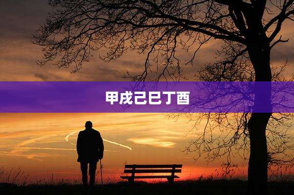 甲戌己巳丁酉