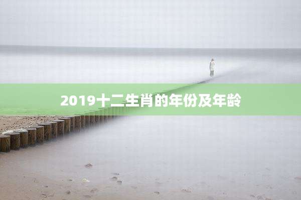2019十二生肖的年份及年龄