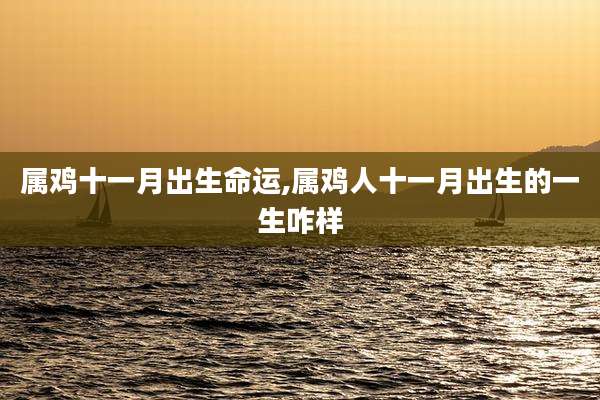 属鸡十一月出生命运,属鸡人十一月出生的一生咋样