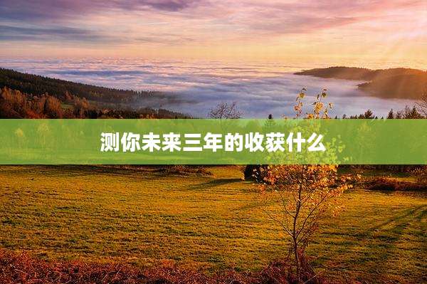 测你未来三年的收获什么