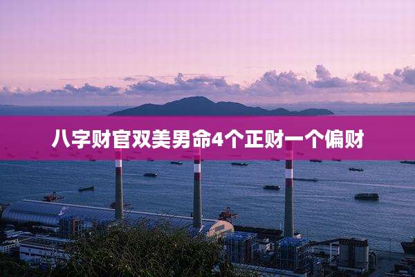 八字财官双美男命4个正财一个偏财
