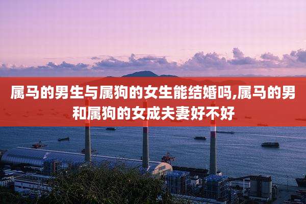 属马的男生与属狗的女生能结婚吗,属马的男和属狗的女成夫妻好不好