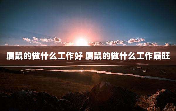 属鼠的做什么工作好 属鼠的做什么工作最旺