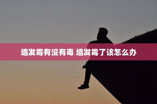 墙发霉有没有毒 墙发霉了该怎么办