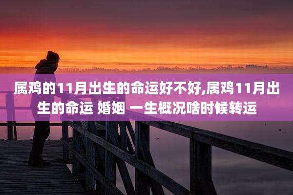 属鸡的11月出生的命运好不好,属鸡11月出生的命运 婚姻 一生概况啥时候转运