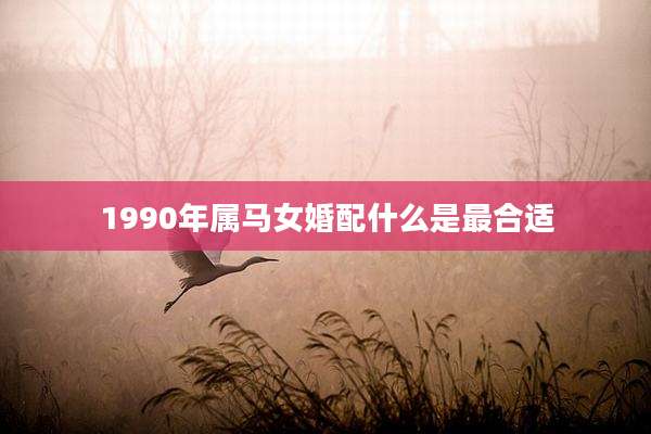 1990年属马女婚配什么是最合适