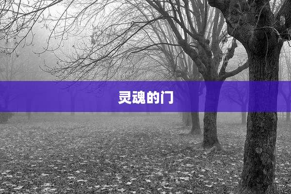 灵魂的门