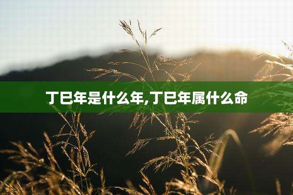 丁巳年是什么年,丁巳年属什么命