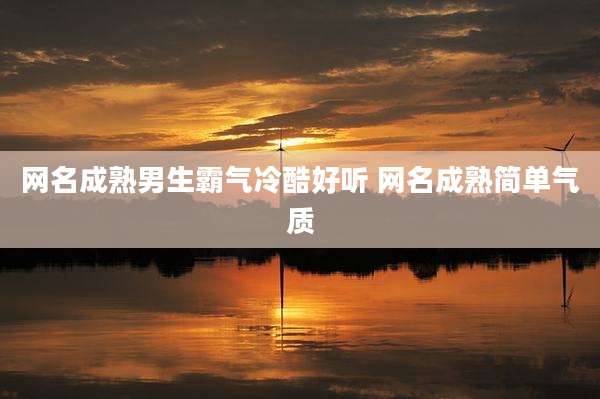 网名成熟男生霸气冷酷好听 网名成熟简单气质
