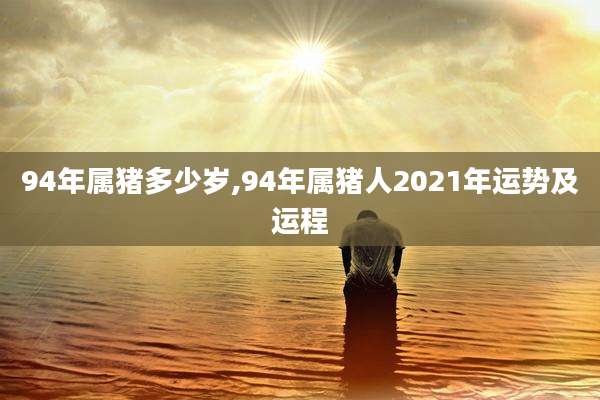 94年属猪多少岁,94年属猪人2021年运势及运程
