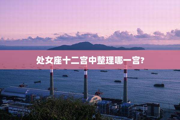 处女座十二宫中整理哪一宫?