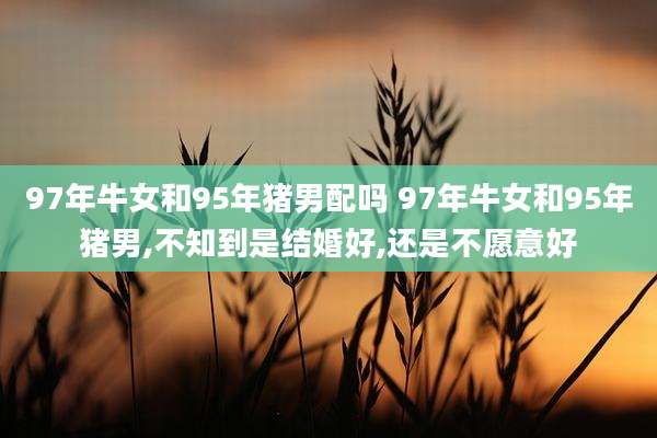 97年牛女和95年猪男配吗 97年牛女和95年猪男,不知到是结婚好,还是不愿意好