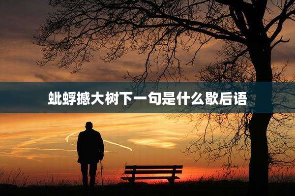 蚍蜉撼大树下一句是什么歇后语