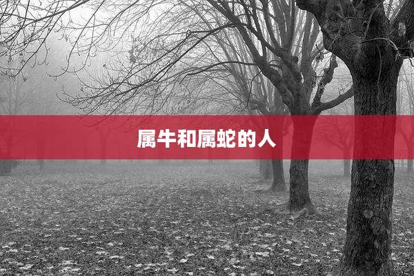 属牛和属蛇的人