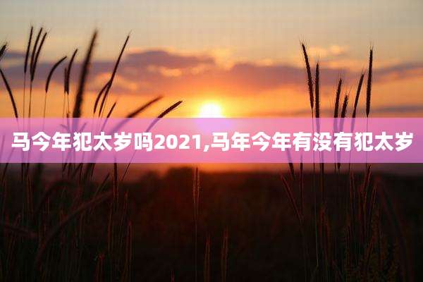 马今年犯太岁吗2021,马年今年有没有犯太岁
